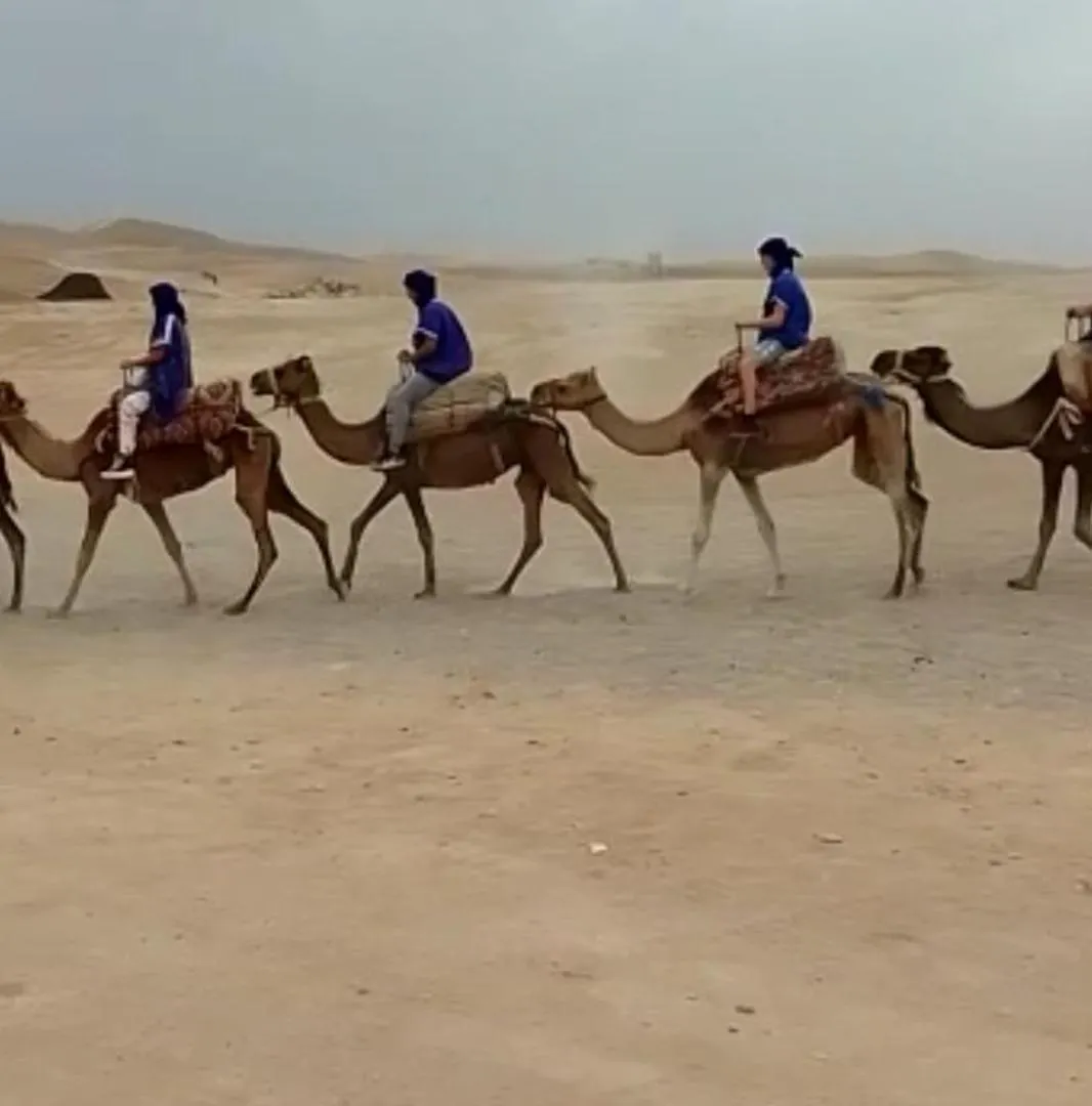 فندق Riad Nezha Avec Jacuzzi Et 3 Piscines Au Coeur De مراكش المغرب